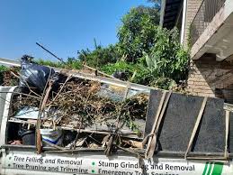 Best Yard Waste Removal  in White Oak, OH